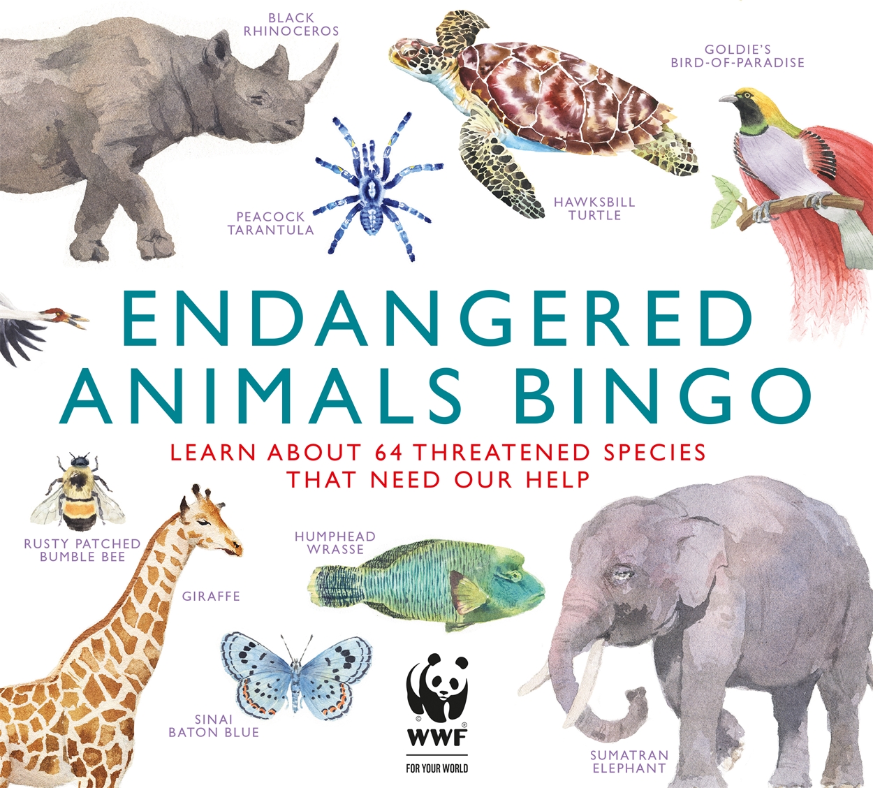 Endangered Animals Bingo by Marcel George | Hachette UK