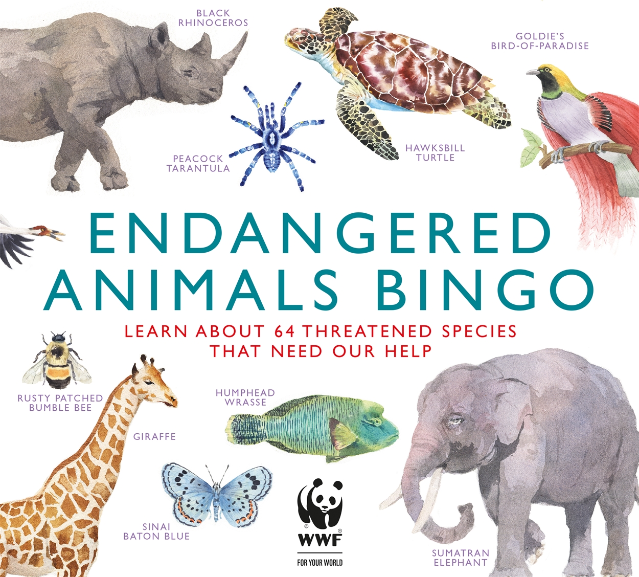 Endangered Animals Bingo by Marcel George | Hachette UK Endangered Animals Bingo by Marcel George | Hachette UK