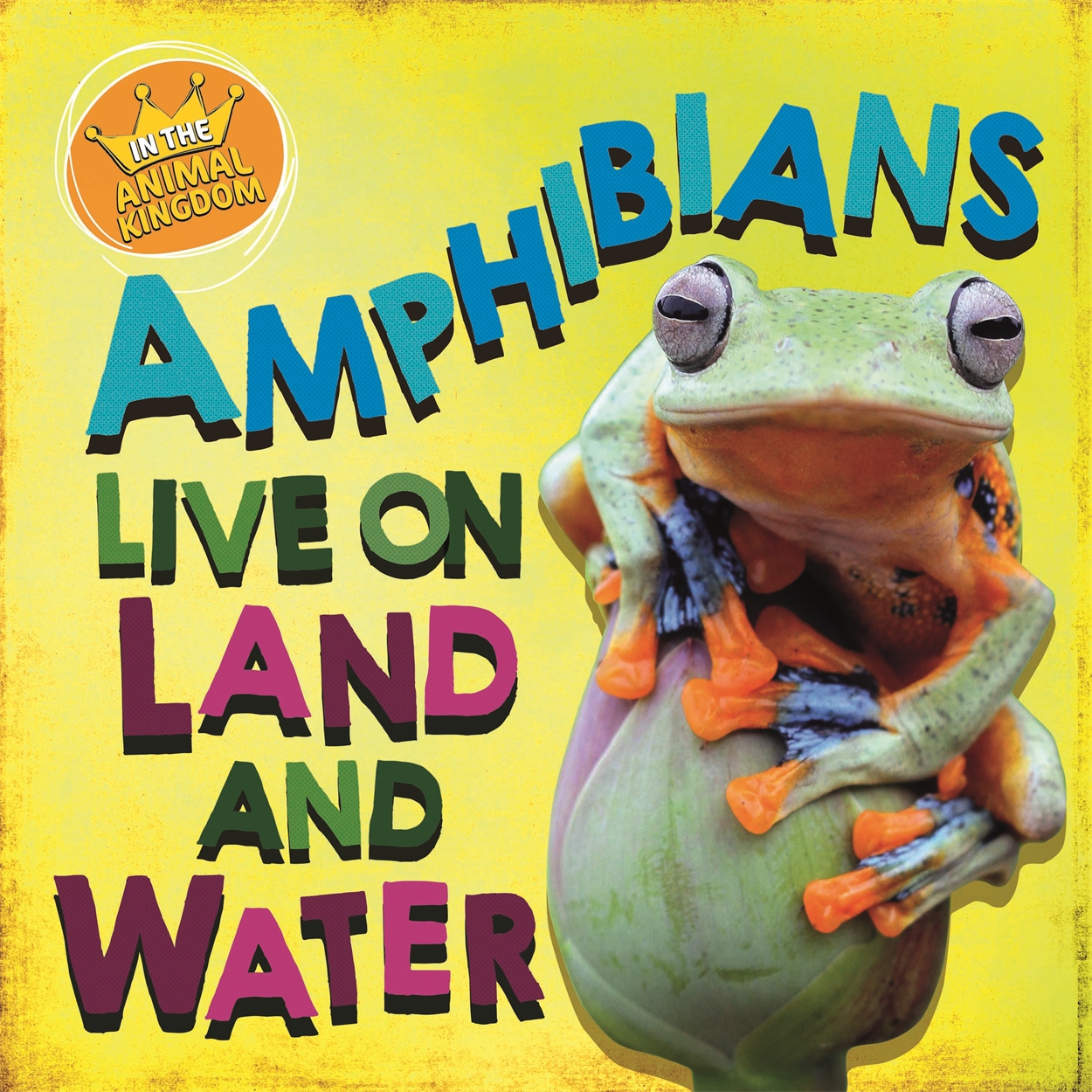 In the Animal Kingdom: Amphibians Live on Land and in Water by Sarah Ridley  | Hachette UK