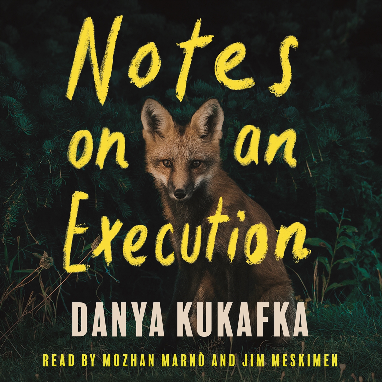 Notes on an Execution by Danya Kukafka | Hachette UK