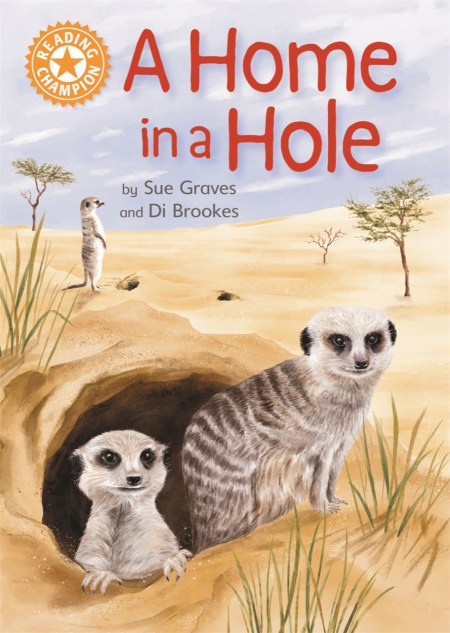 Reading Champion: A Home in a Hole by Sue Graves | Hachette UK