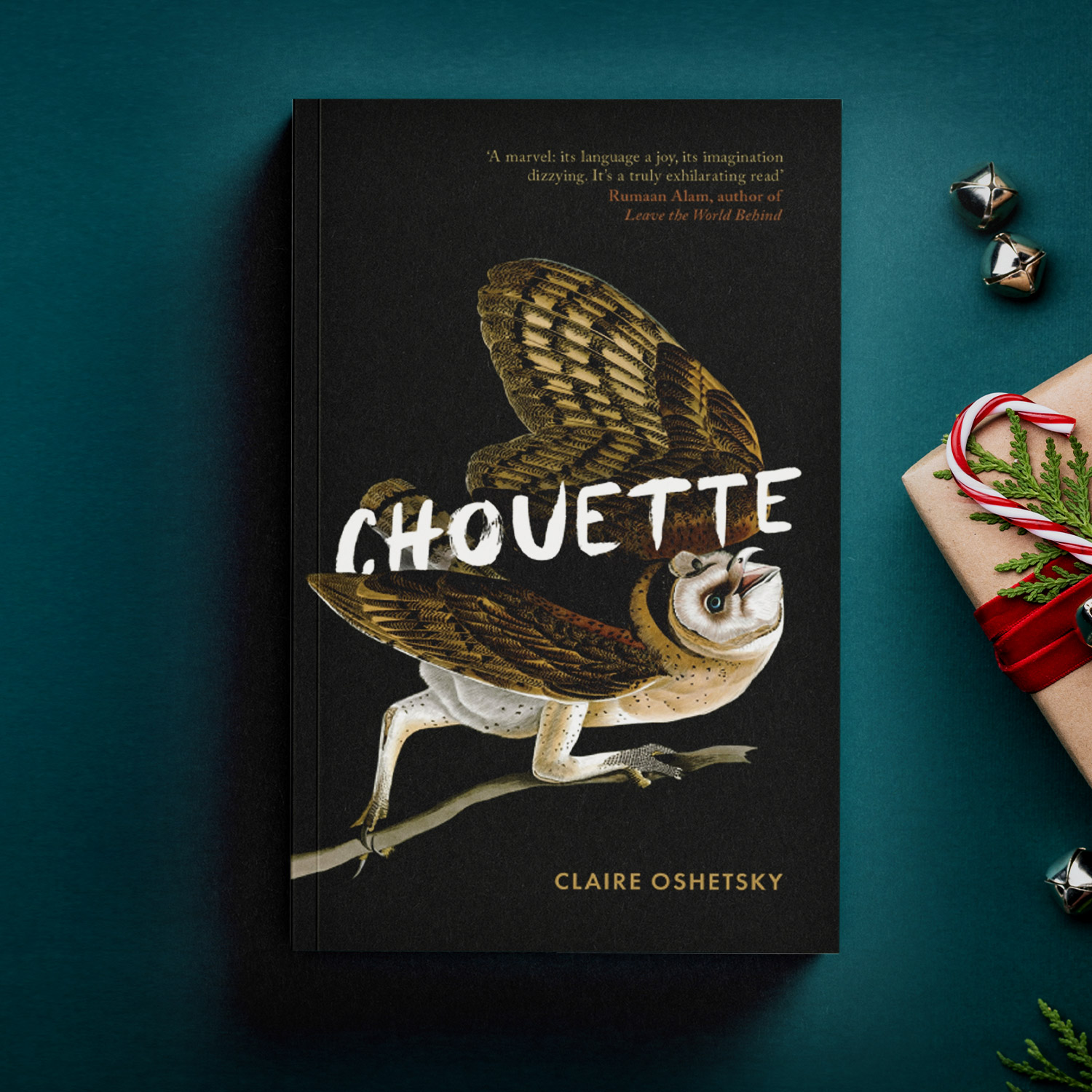 Chouette by Claire Oshetsky