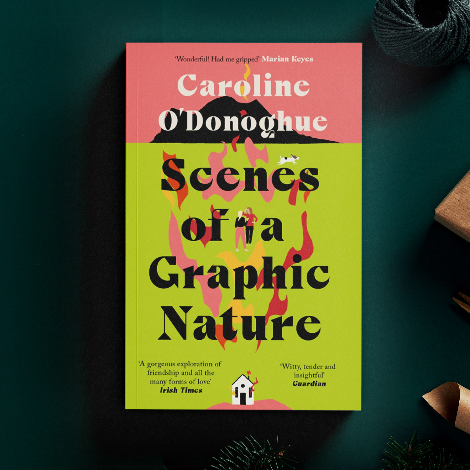 Scenes of a Graphic Nature by Caroline O'Donoghue