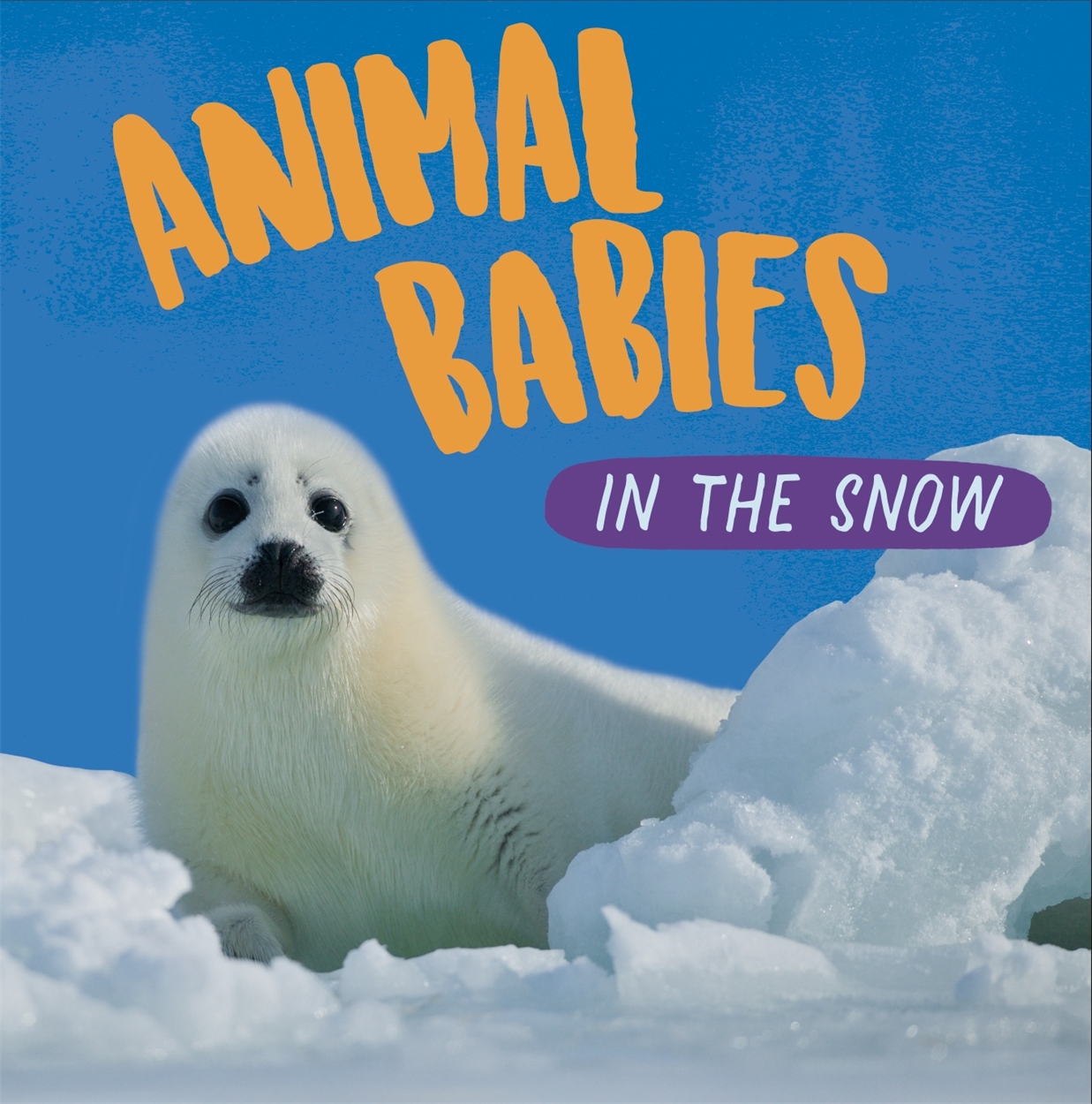 Animal Babies: In the Snow by Sarah Ridley | Hachette UK