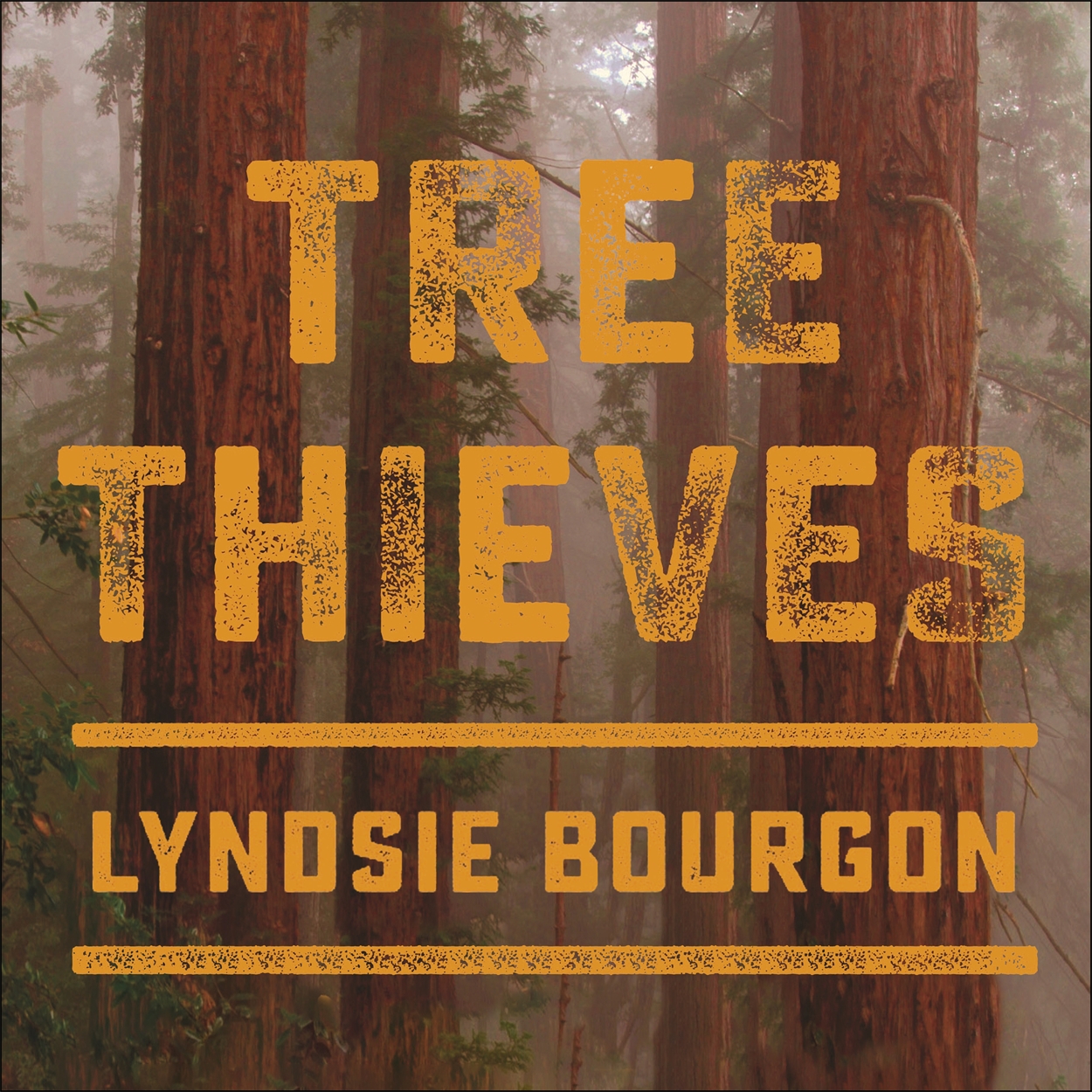 Tree Thieves by Lyndsie Bourgon Hachette UK
