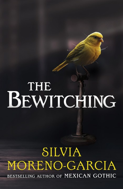 Jill Dawson at Budleigh Salterton Literary Festival