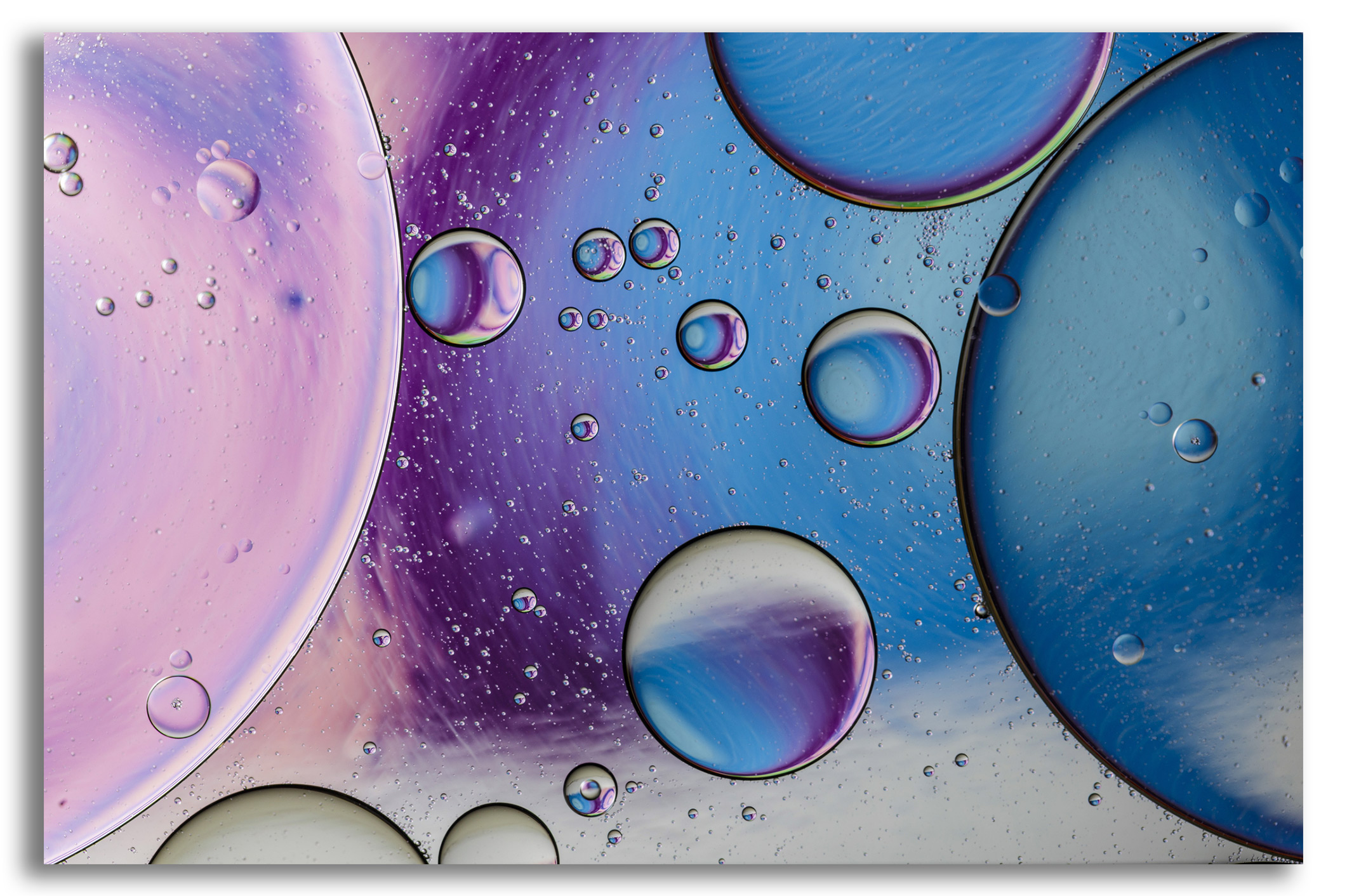 Bubbles, Oil, and Foam Structure