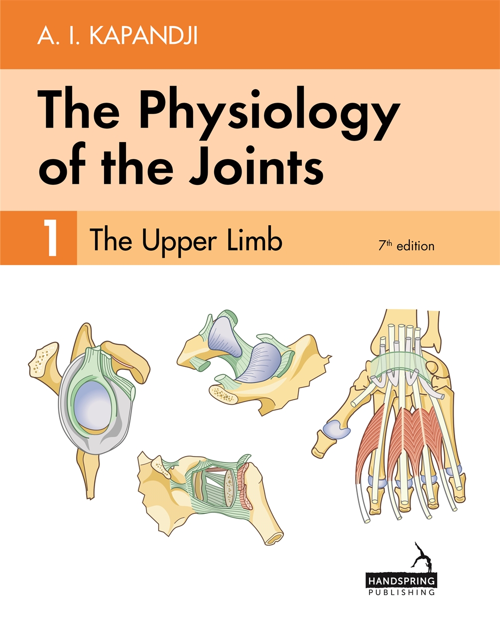 The Physiology of the Joints – Volume 1 by Adalbert Kapandji | Hachette UK