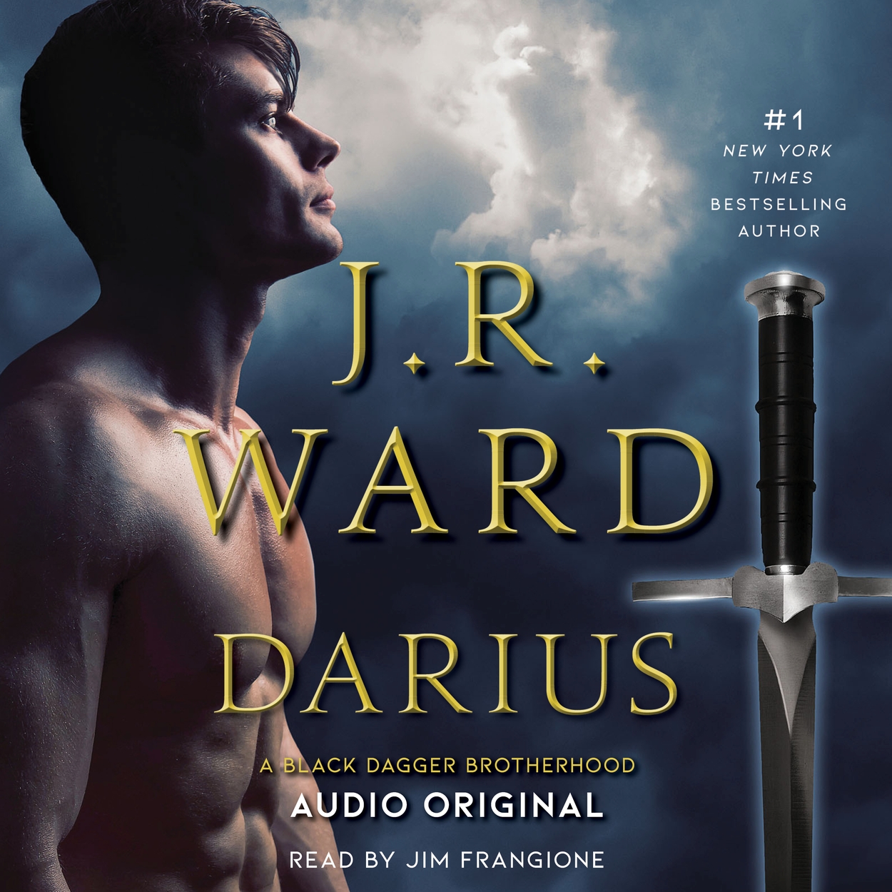 Darius by J. R. Ward Hachette UK