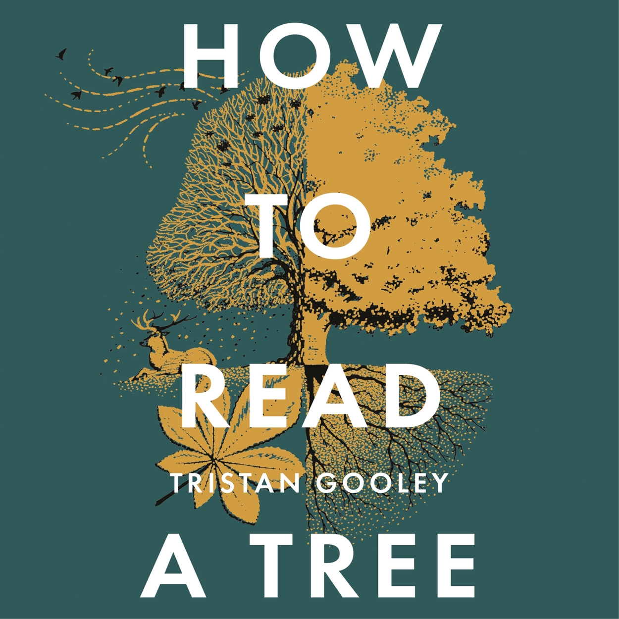 How To Read A Tree By Tristan Gooley Hachette UK how-to-read-a-tree-by-tristan-gooley-hachette-uk
