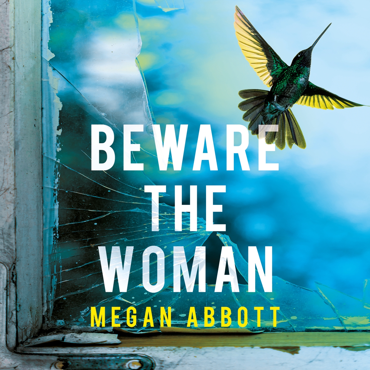 Beware of the Woman Artist Book