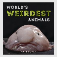 World’s Weirdest Animals