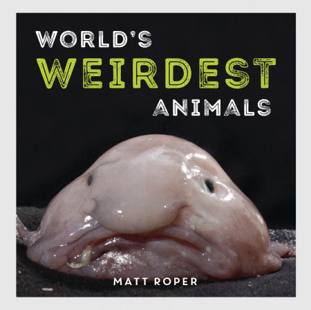 World’s Weirdest Animals