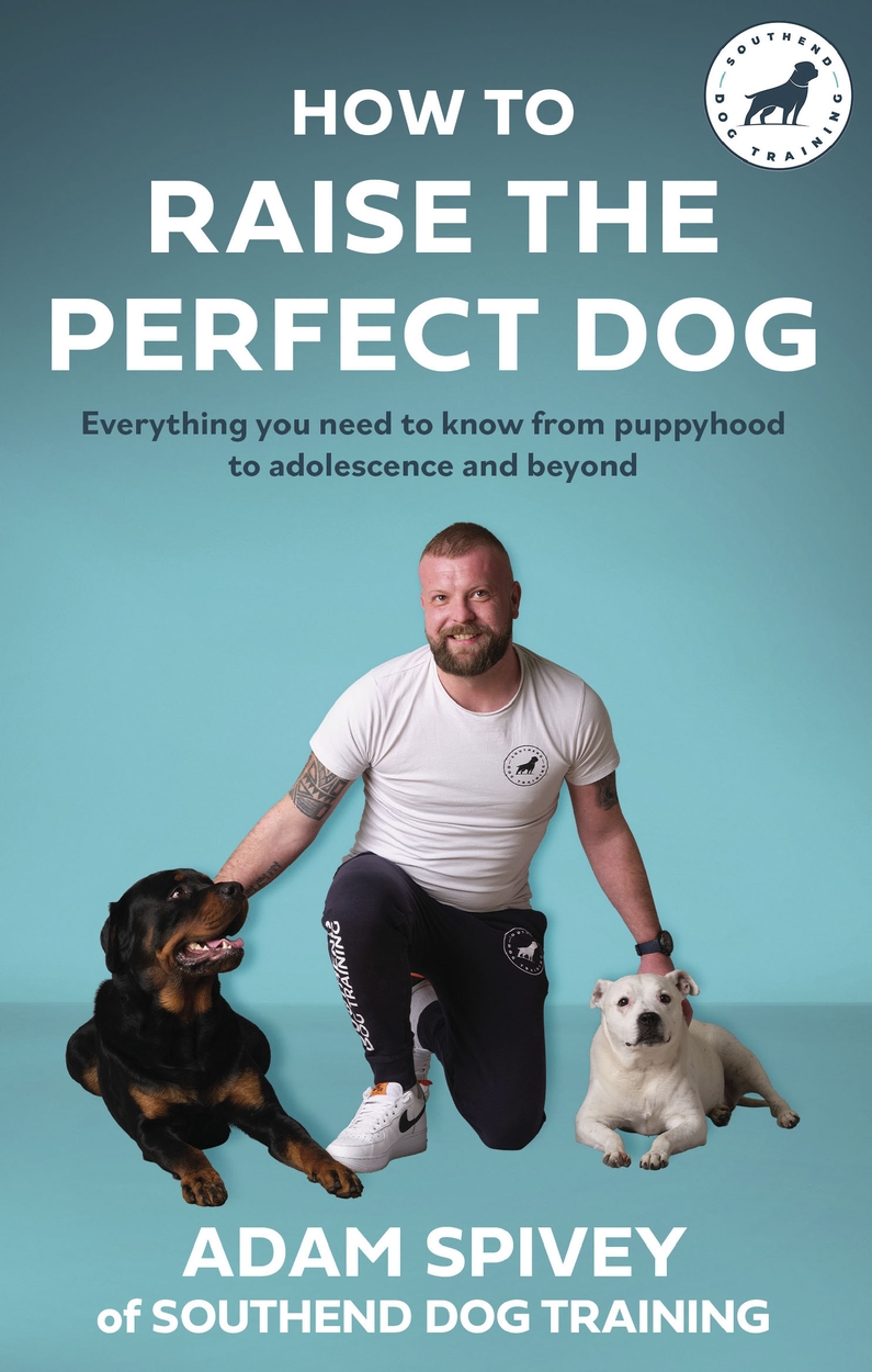 How to Raise the Perfect Dog by Adam Spivey | Hachette UK