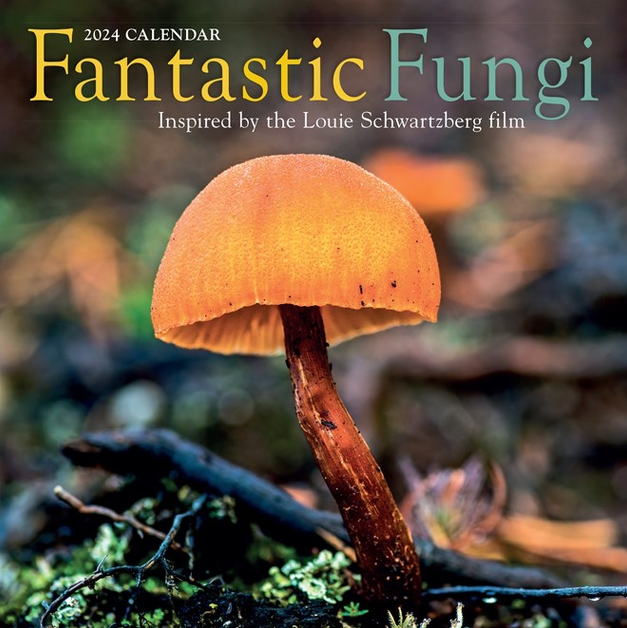 Fantastic Fungi Wall Calendar 2024 by Louie Schwartzberg | Hachette UK