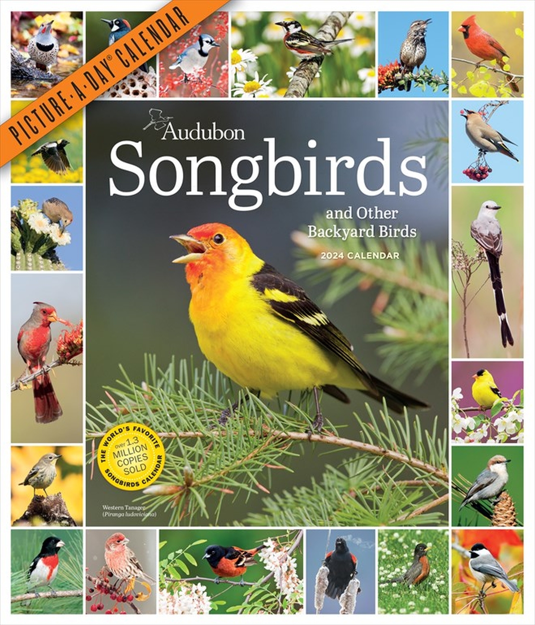 audubon-songbirds-and-other-backyard-birds-picture-a-day-wall-calendar