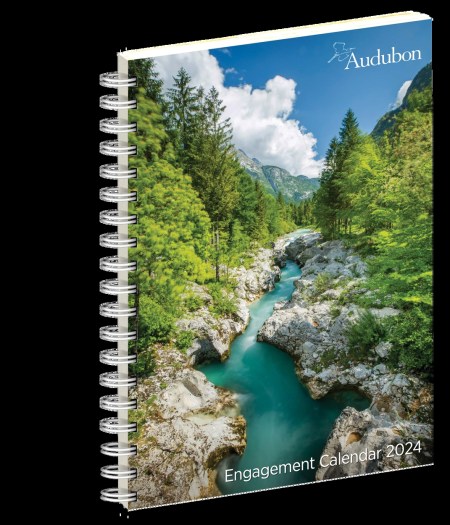 Audubon Engagement Calendar 2024 by Workman Calendars | Hachette UK Audubon Engagement Calendar 2024 by Workman Calendars | Hachette UK