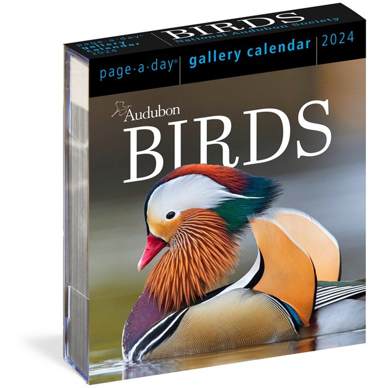 Audubon Birds Calendar 2025