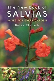 The New Book of Salvias