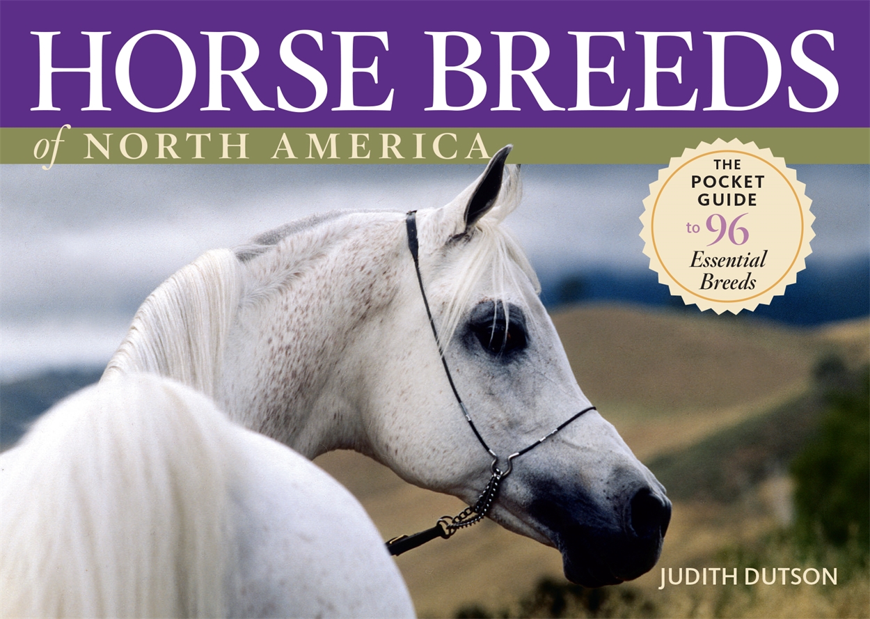 Horse Breeds of North America by Judith Dutson | Hachette UK