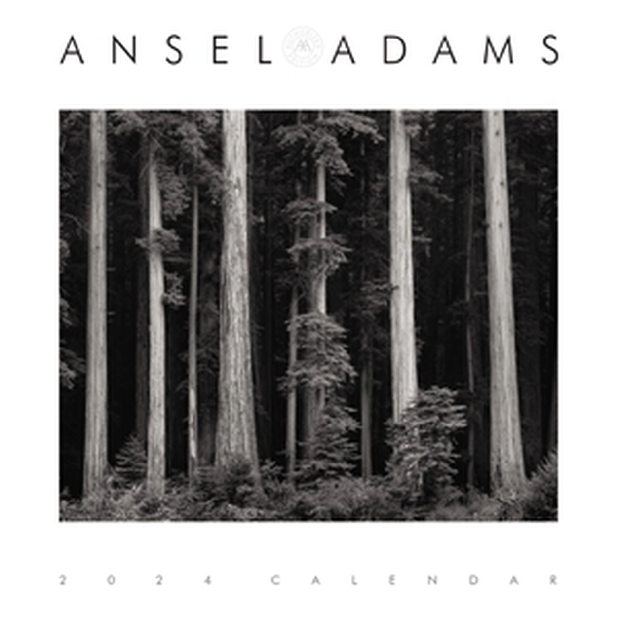Ansel Adams 2024 Engagement Calendar by Ansel Adams | Hachette UK