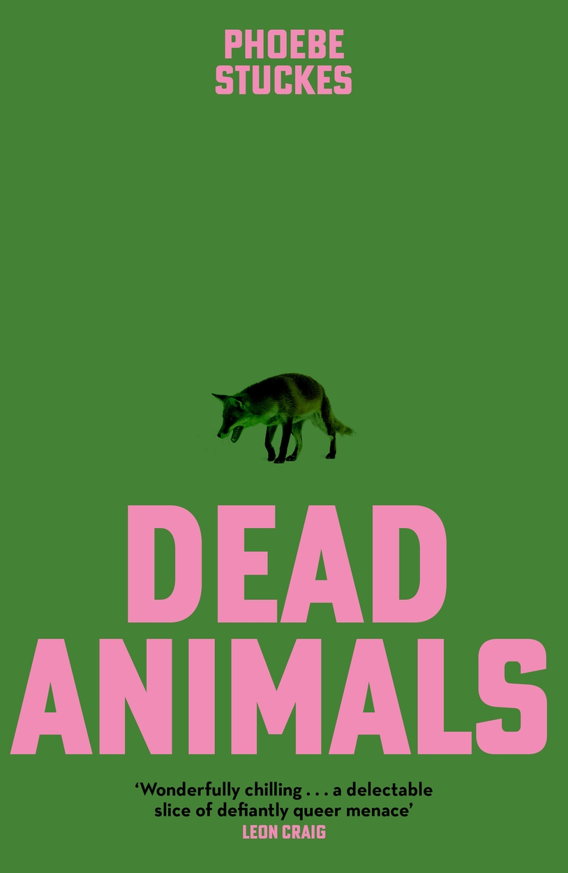 Dead Animals by Phoebe Stuckes Hachette UK