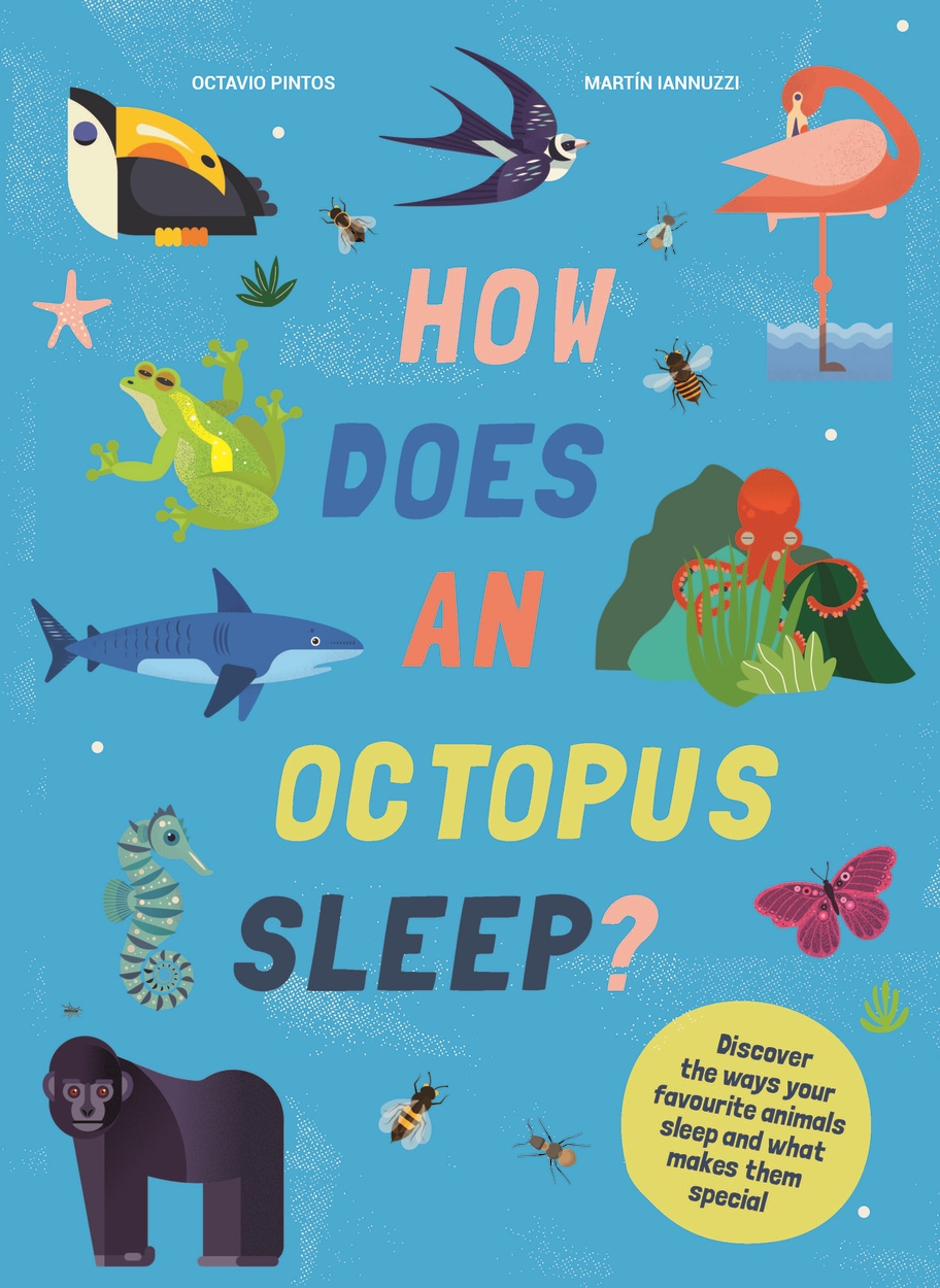 How Does An Octopus Sleep? by Octavio Pintos | Hachette UK