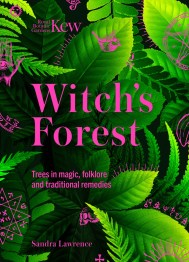 Witch’s Forest