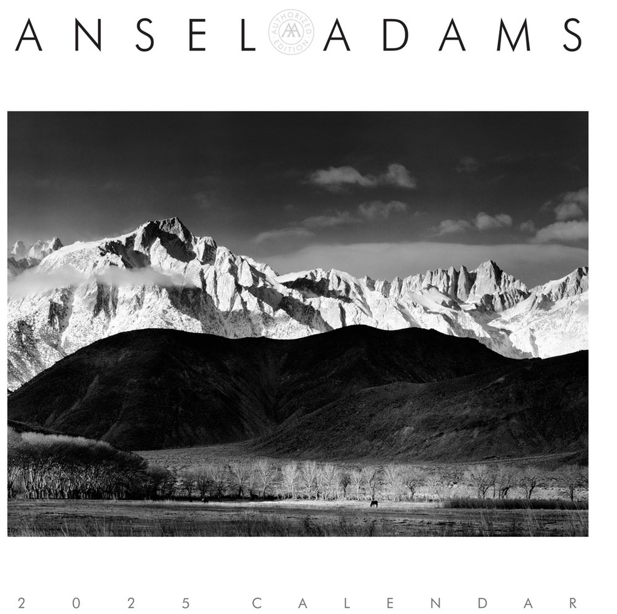 Ansel Adams 2025 Engagement Calendar by Ansel Adams Hachette UK