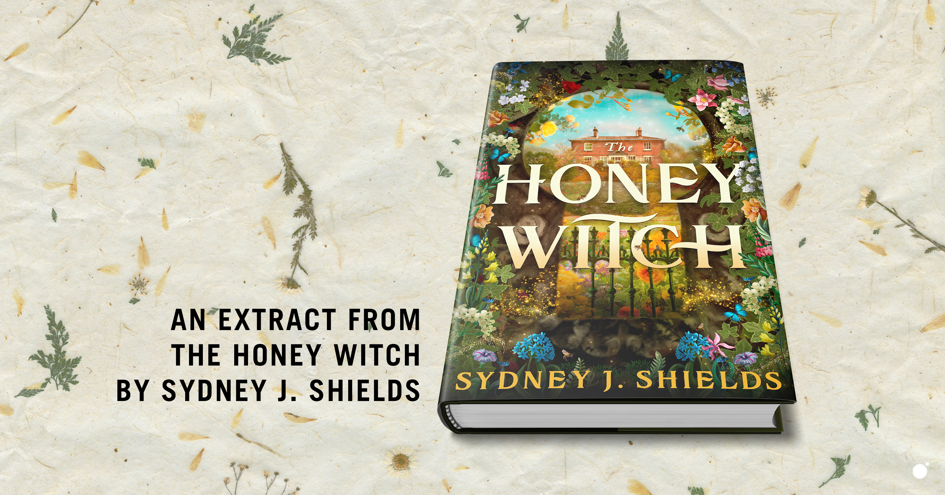 The Honey Witch by Sydney J. Shields