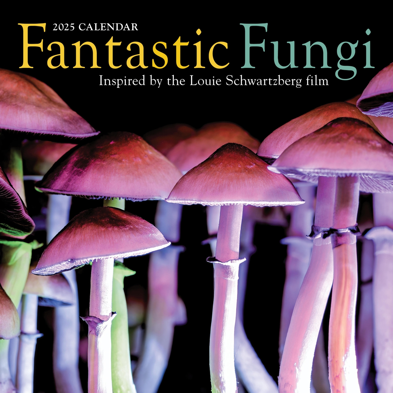 Fantastic Fungi Wall Calendar 2025 by Louie Schwartzberg | Hachette UK