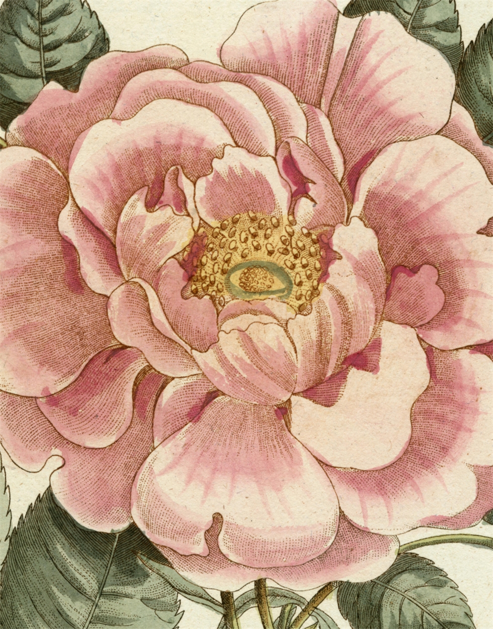 JOHN DERIAN PICTURE BOOK ジョンデリアン IMG_2225.png?v=1754664739