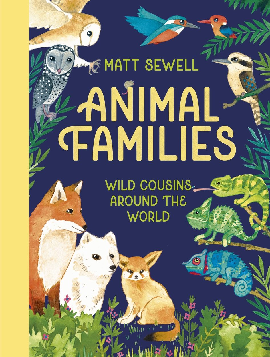 Animal Families by Matt Sewell Hachette UK