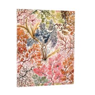 Anemone (William Kilburn) Ultra Unlined Softcover Flexi Journal (Elastic Band Closure)