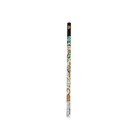 Celestial Planisphere (Early Cartography) Pencil