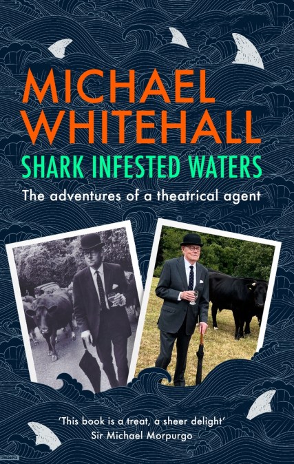 Shark-Infested Waters