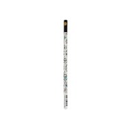 Vault of the Milan Cathedral (Duomo di Milano) Pencil