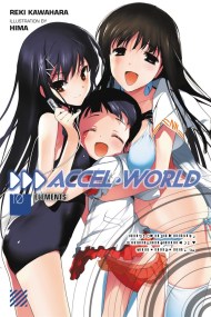 Accel World, Vol. 10 (Novel)