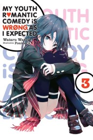 My Youth Romantic Comedy Is Wrong, As I Expected, Vol. 3 (Novel)