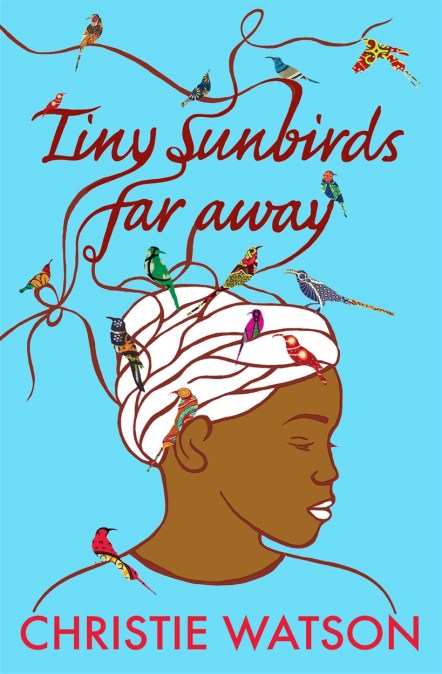 Tiny Sunbirds Far Away