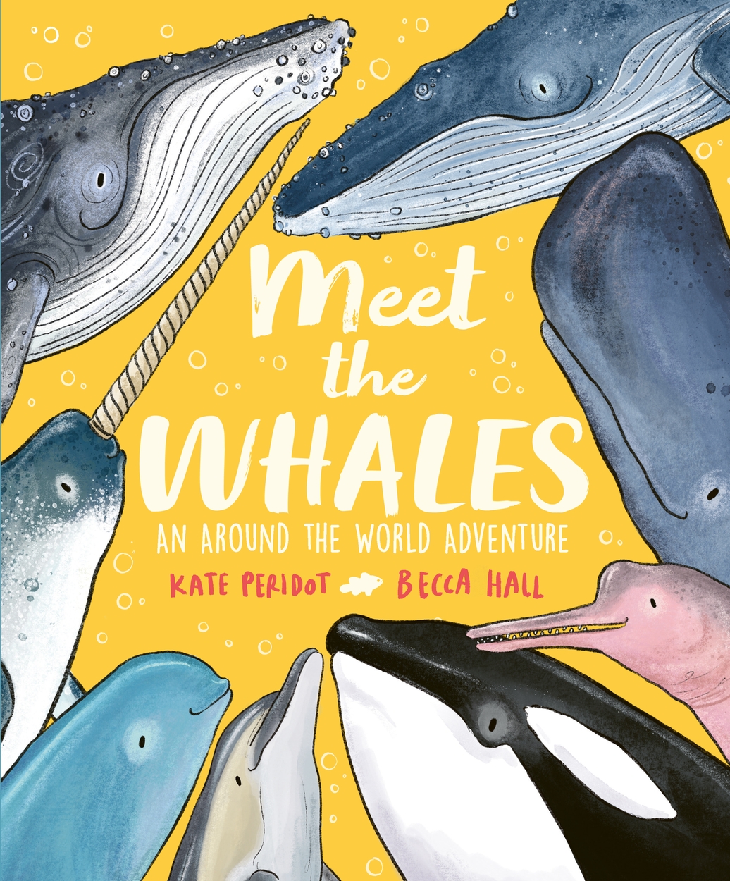 hbg-title-meet-the-whales-59.