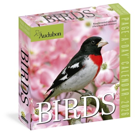 Audubon Birds Page-A-Day® Calendar 2026