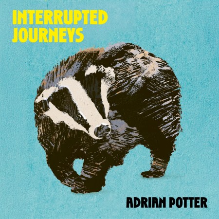 Interrupted Journeys