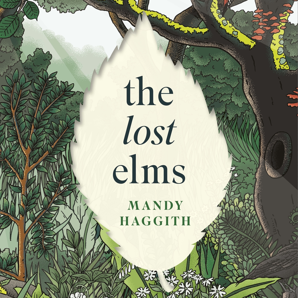 Haggith The Lost Elms: A Love Letter to Our Vanished Trees – and the Fight to ...