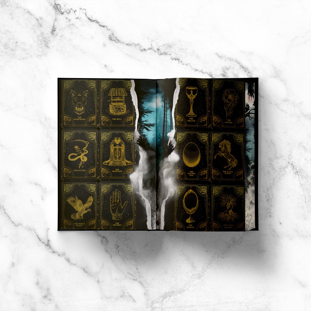 One Dark Window by Rachel Gillug