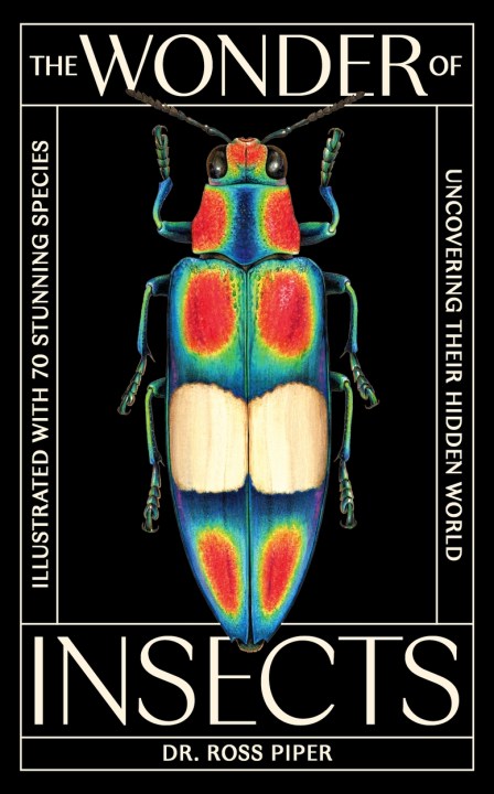The Wonder of Insects: Uncovering their Hidden World