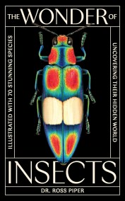 The Wonder of Insects: Uncovering their Hidden World