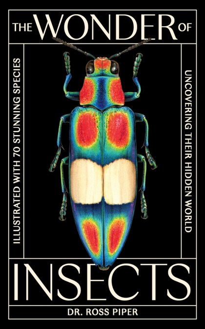 The Wonder of Insects: Uncovering their Hidden World