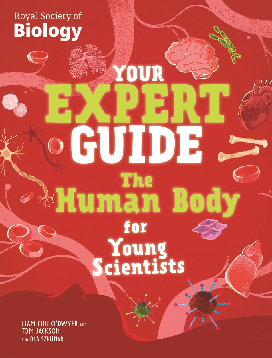 Your Expert Guide: The Human Body for Young Scientists by Tom