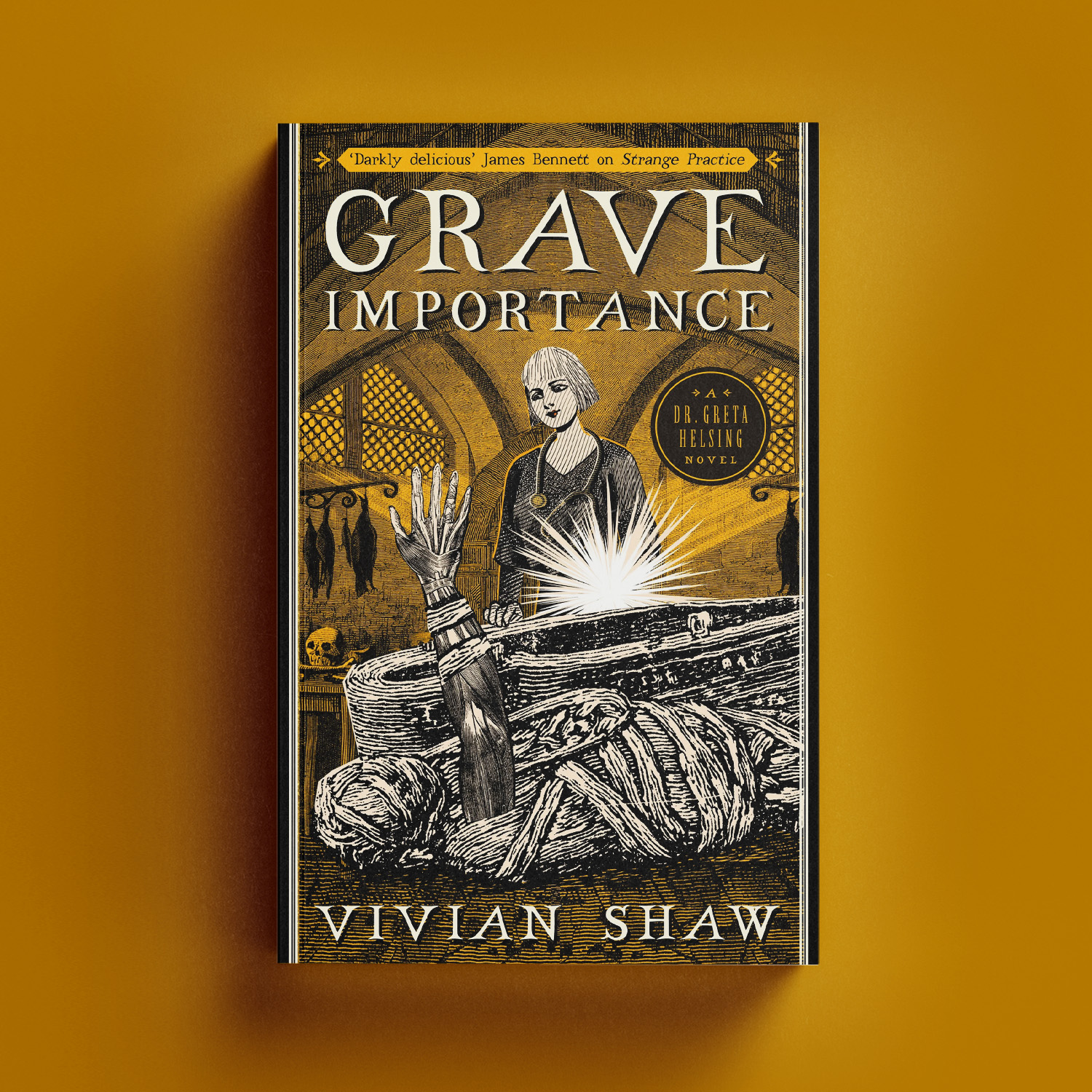 Grave Importance by Vivian Shaw